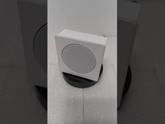 FWS-103 مكبر صوت مثبت على الحائط