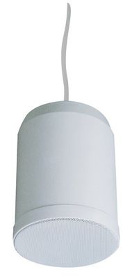 10W 20W داخلي معلق قلادة المتحدث نظام PA